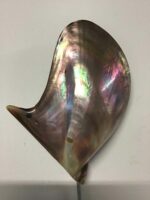 Nahaufnahme einer muschelförmigen Wandleuchte mit irisierendem, glänzender Oberfläche in Perlmutt-Optik