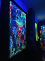 Mystic Dago – Bild 3