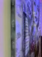 Jetset Angel – Bild 2