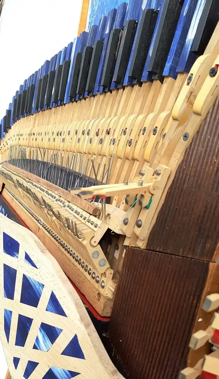 Flügelschwertfisch – Bild 7