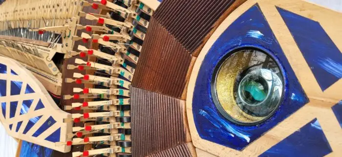 Flügelschwertfisch – Bild 6