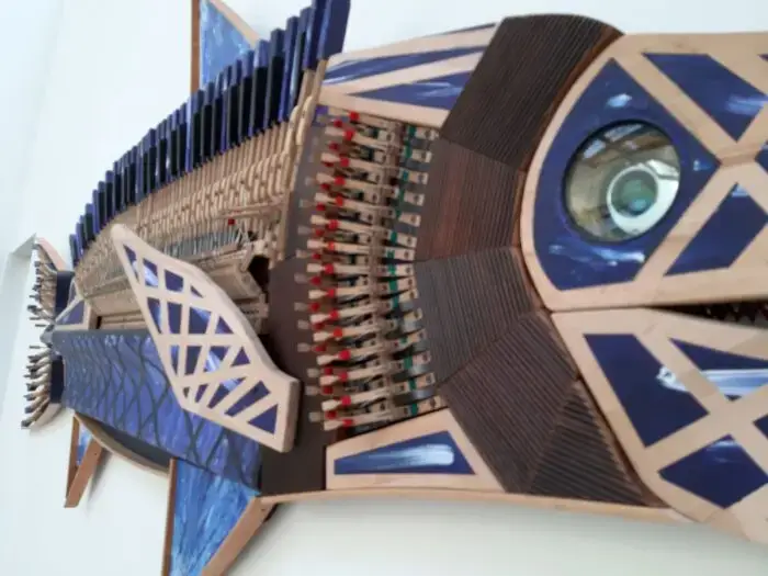 Flügelschwertfisch – Bild 5