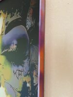 Butterfly – Bild 2