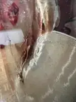 Timeless Seduction – Bild 7