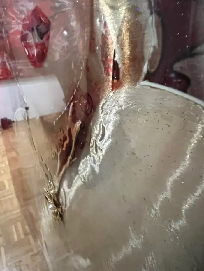 Timeless Seduction – Bild 7