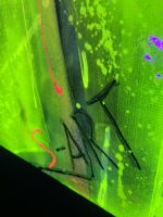 Dragon King - BIG7 – Bild 6