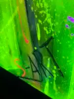 Dragon King - BIG7 – Bild 6