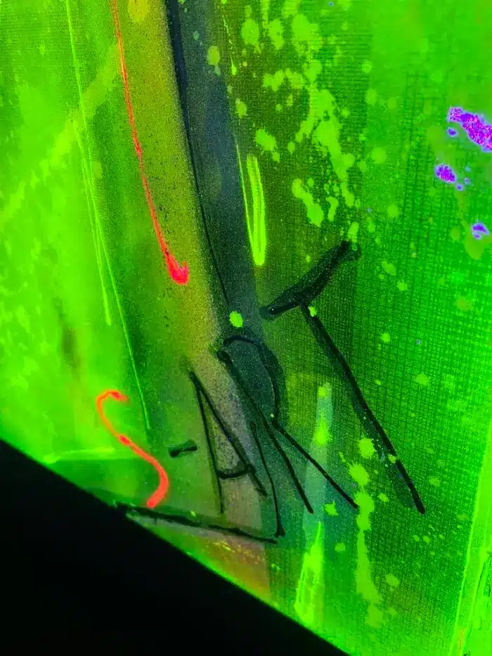 Dragon King - BIG7 – Bild 6