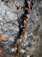 Häutungen No.2 - Unikat – Bild 5