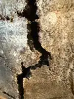 Häutungen No.2 - Unikat – Bild 8