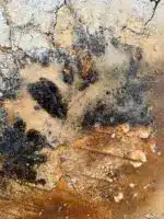 Häutungen No.3 – Bild 9