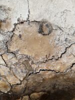 Häutungen No.3 – Bild 6