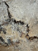 Häutungen No.3 – Bild 7