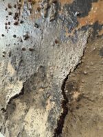 Häutungen No.3 – Bild 8