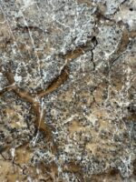 Häutungen No.3 – Bild 10