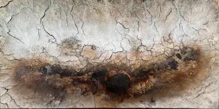 Häutungen No.3 – Bild 4