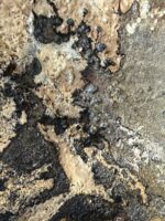 Häutungen No.1 – Bild 7