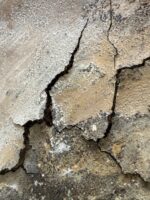 Häutungen No.1 – Bild 8