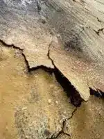 Häutungen No.1 – Bild 9