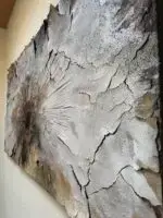 Häutungen No.1 – Bild 10