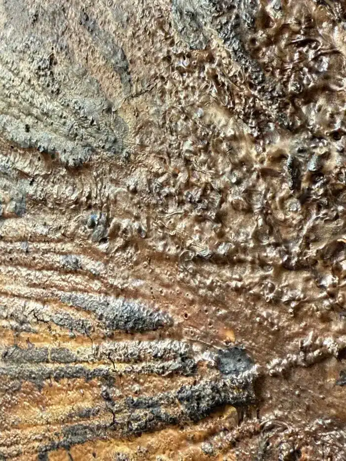 Häutungen No.1 – Bild 6