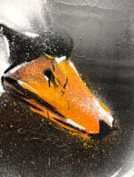 Black Swan – Bild 2