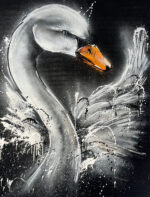 Schwarzer Schwan auf dunklem Hintergrund mit weißem Lichtakzent.