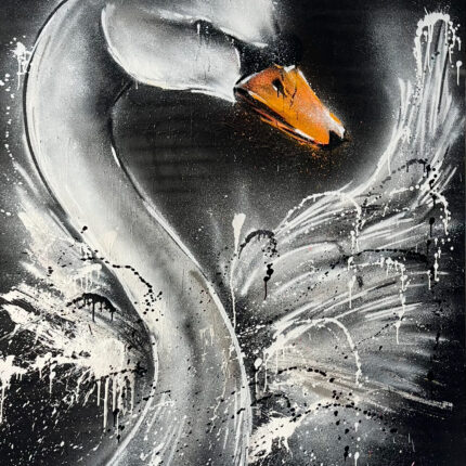 Schwarzer Schwan auf dunklem Hintergrund mit weißem Lichtakzent.