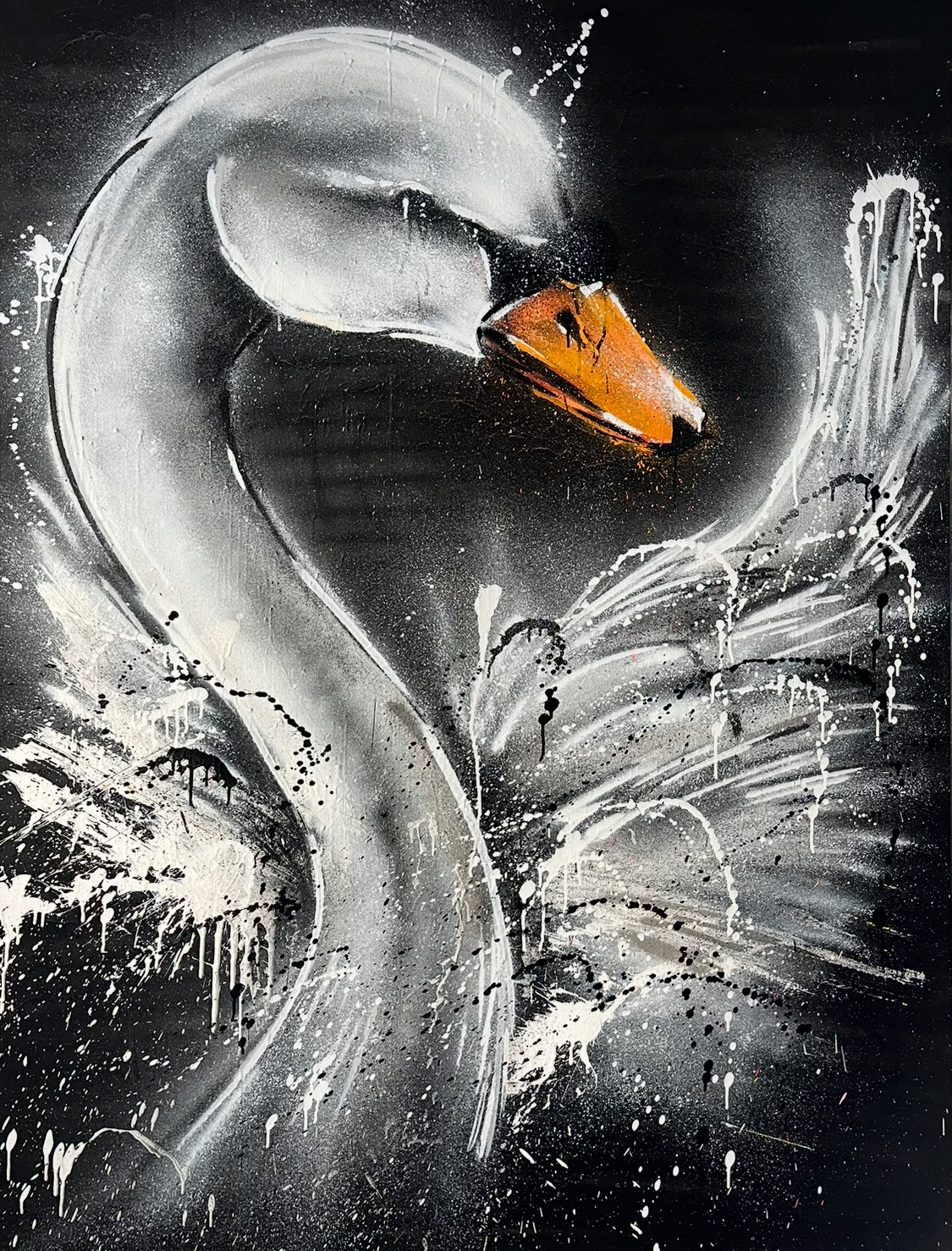 IMG_3697 2 Schwarzer Schwan auf dunklem Hintergrund mit weißem Lichtakzent.