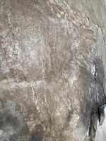 EarthLove No.1 – Bild 5