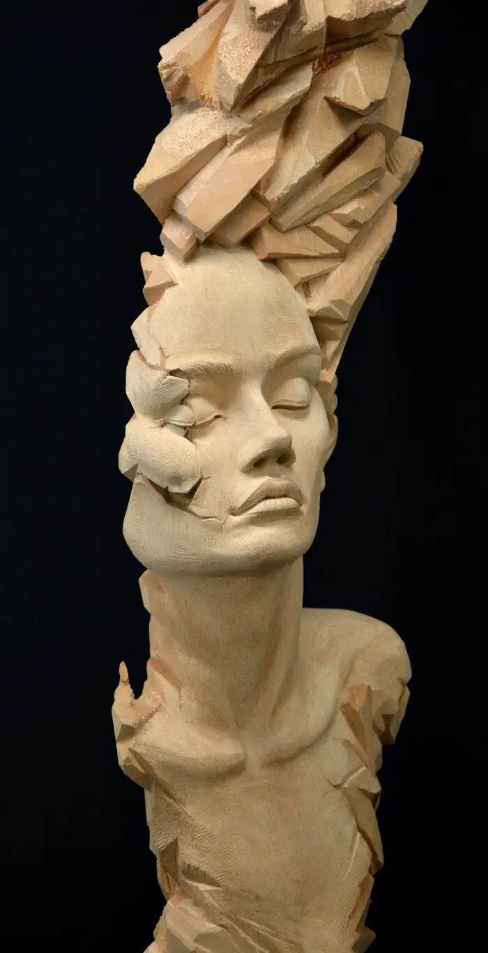 "Die zerrissene Kraft" – Bild 1