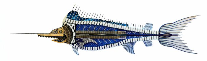 Blue_Marlin_ Blue Marlin – Eine Transformation aus Klang und Material – Bild 1